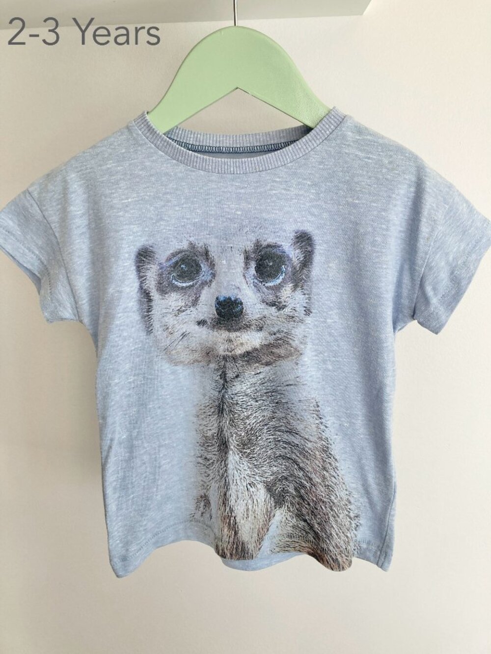 (🎨$3 PLAY) Next 2-3 Years Toddler Blue Meerkat Animal T-Shirt Summer Beach